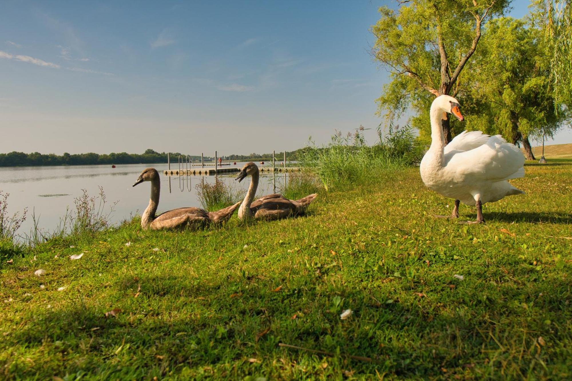 Tisza-tó Apartmanpark Hotel Kisköre Exterior foto